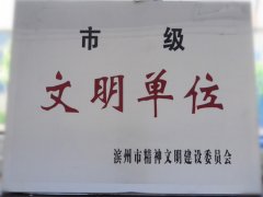 喜訊！公司榮獲“市級(jí)文明單位”稱號(hào)