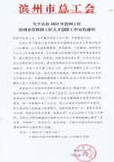 喜報(bào)！公司1個(gè)集體和1名個(gè)人榮獲市級(jí)榮譽(yù)
