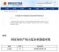 公司獲國家知識產(chǎn)權強國建設示范企業(yè)創(chuàng)建對象